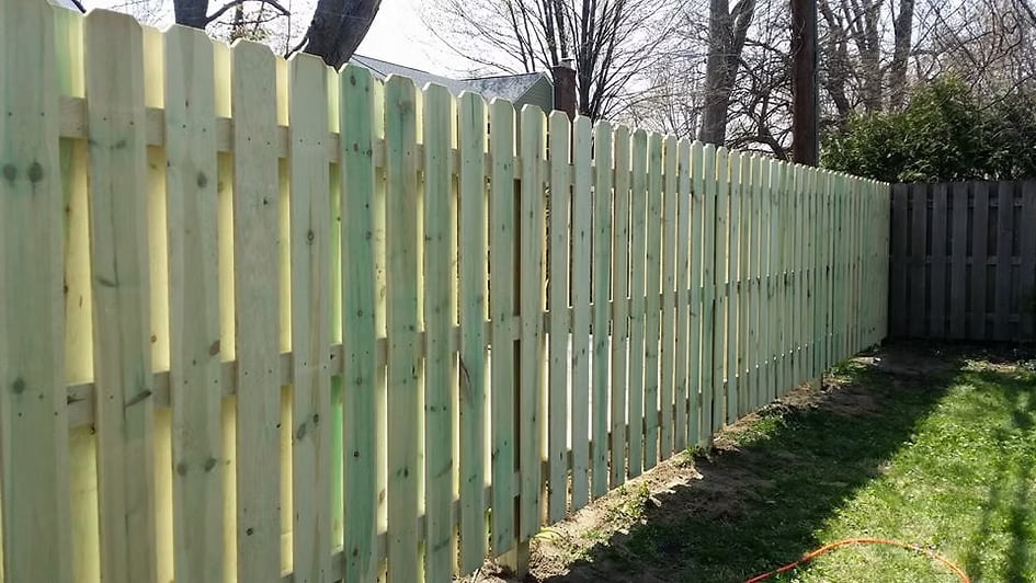 Treated shadowbox fence