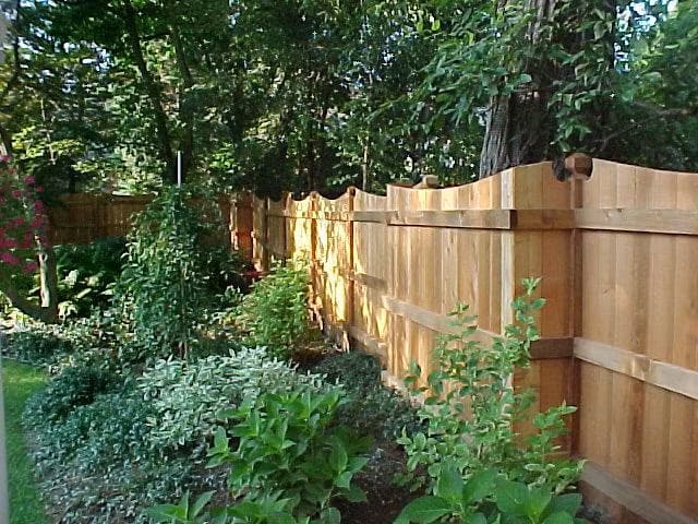 Cedar concave fence